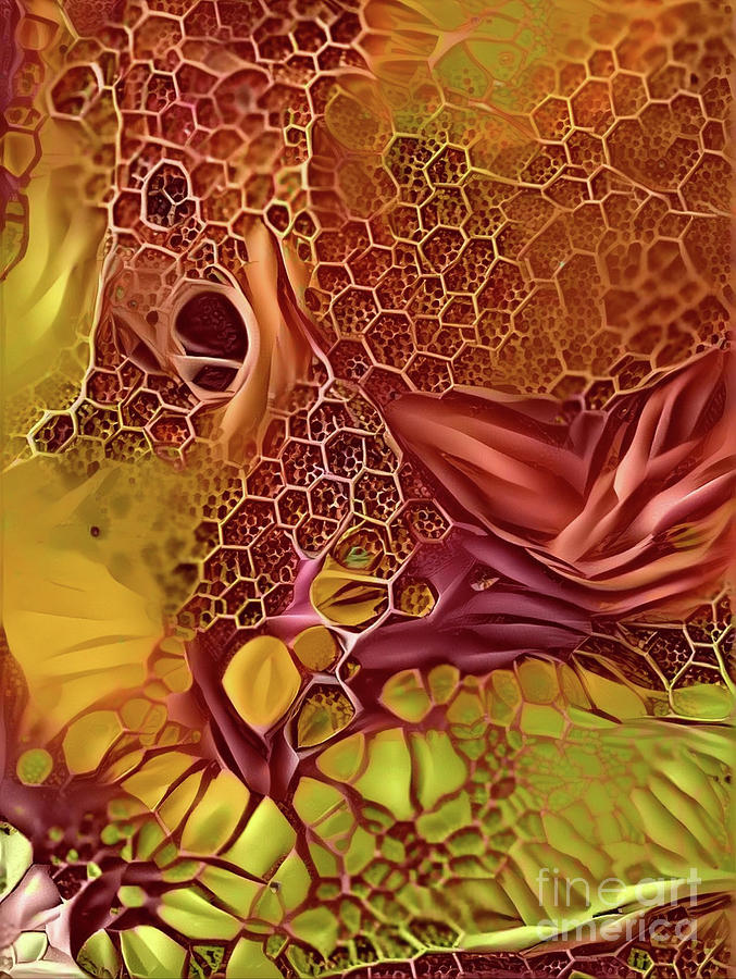 Honeycomb  Mixed Media by Carlee Ojeda