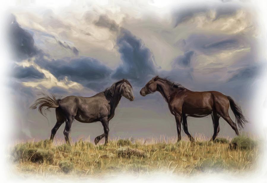 Wild Horses #15 Photograph by Laura Terriere