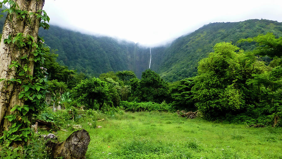 Hawaii Landscape Photography 20150717-1302 Photograph by Rowan Lyford