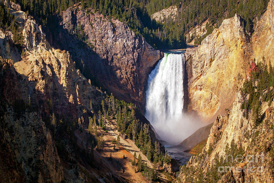 1583 Upper Falls Grand Canyon of Yellowstone Photograph by Steve Sturgill
