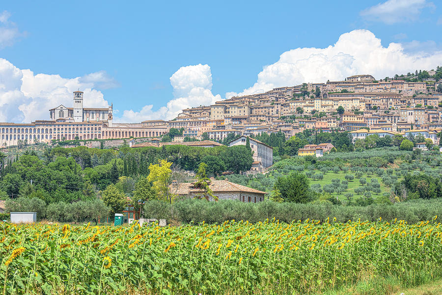 Assisi - Italy #16 Photograph by Joana Kruse