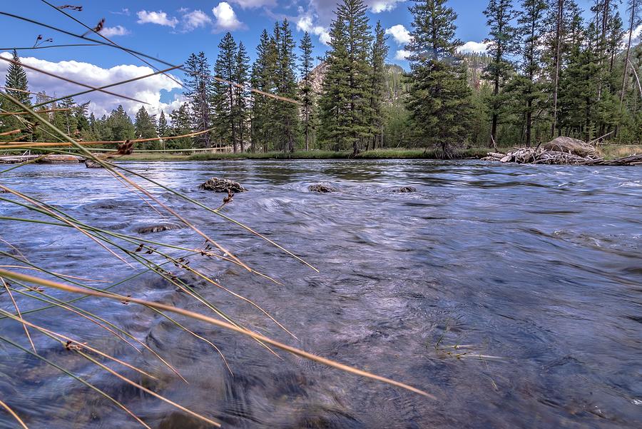 Beautiful Nature Scenes Along Yellostone River In Wyoming Photograph