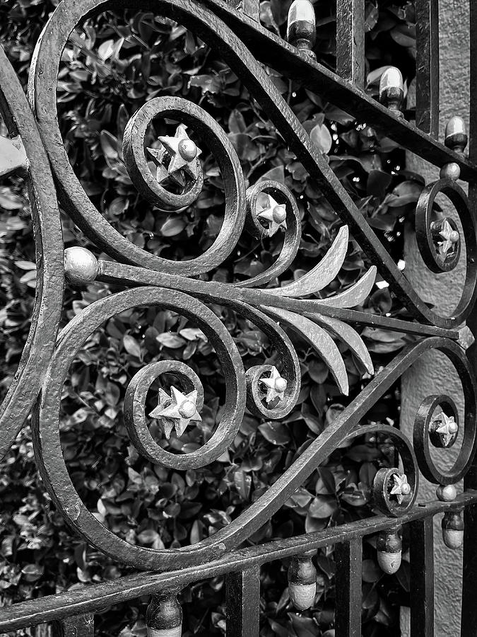 Charleston Wrought Iron Garden Gate in Detail, South Carolina #16 Photograph by Dawna Moore Photography