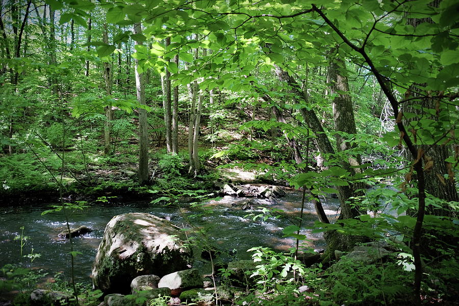 Far Mill River, Shelton CT Photograph by Thomas Henthorn - Fine Art America