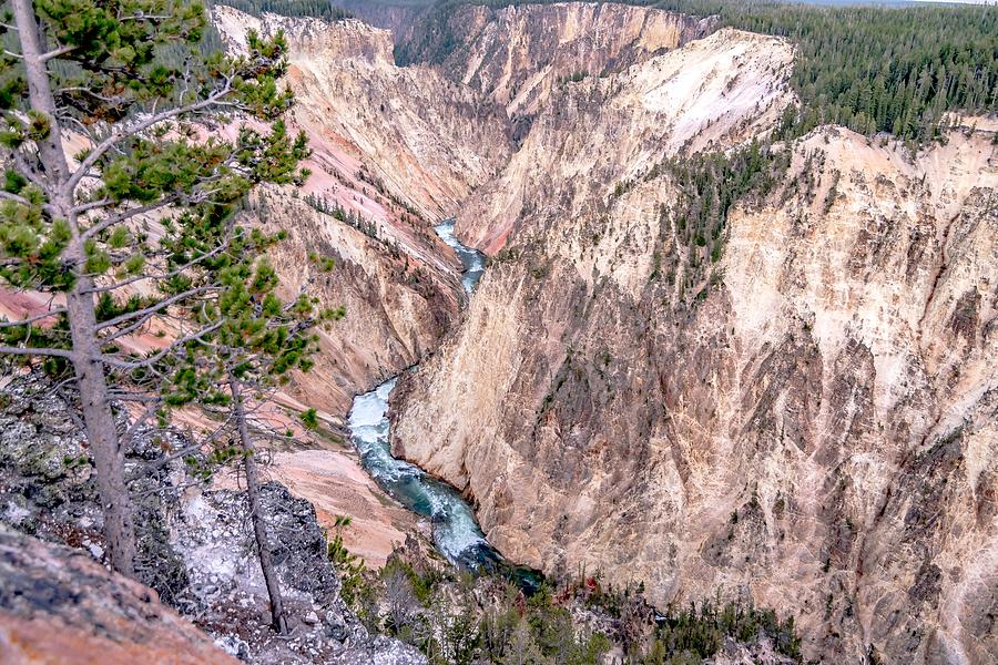 Lower falls of the yellowstone national park from artist point a #16 Photograph by Alex Grichenko