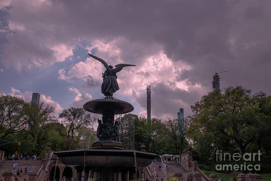 New York Central Park #16 Photograph by FineArtRoyal Joshua Mimbs