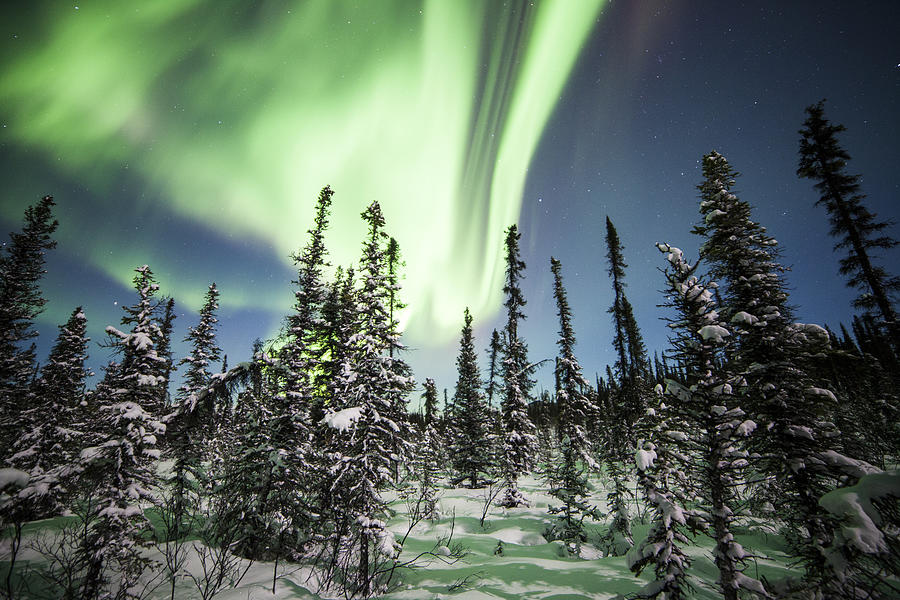 Northern Lights #16 Photograph by Daniel A. Leifheit