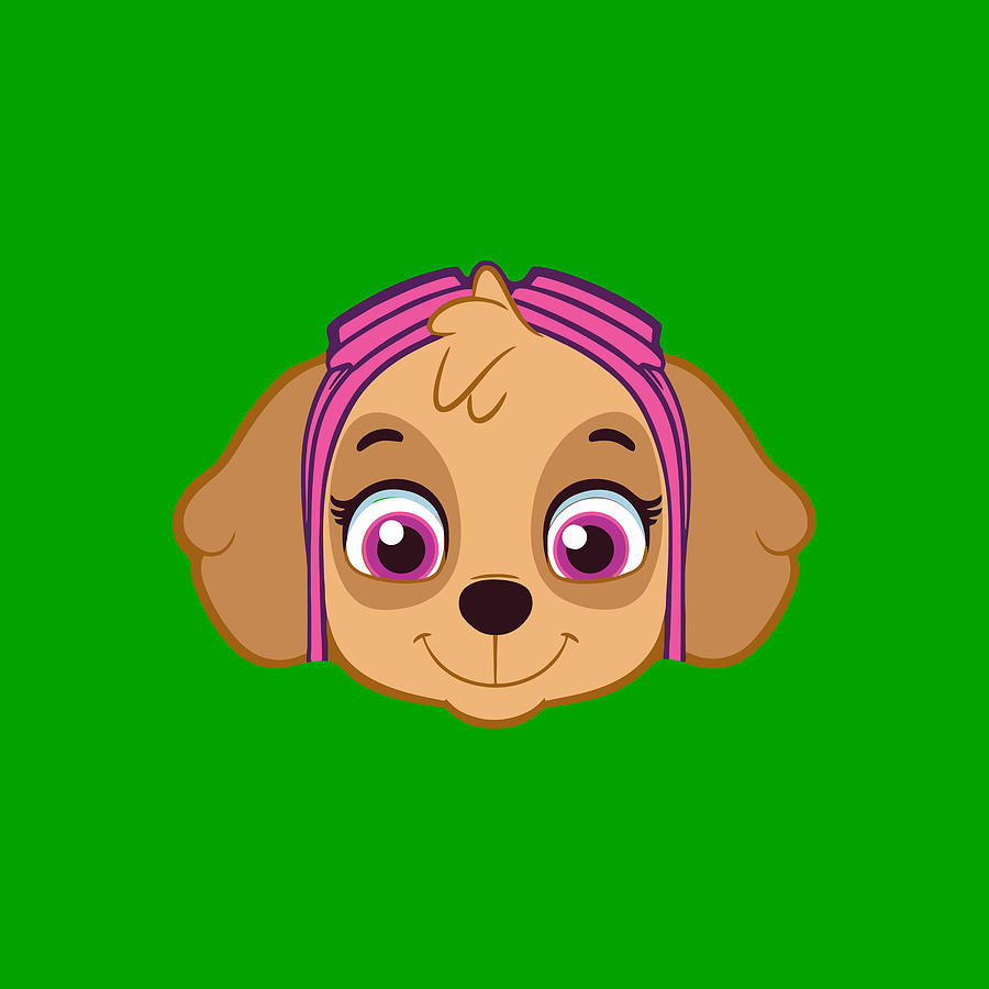 Paw Patrol Face by