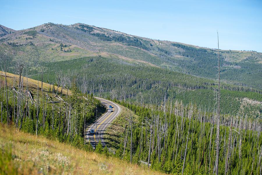 scenery at Mt Washburn trail in Yellowstone National Park, Wyomi #16 Photograph by Alex Grichenko