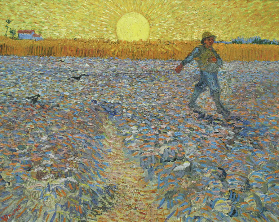 The sower Painting by Vincent van Gogh