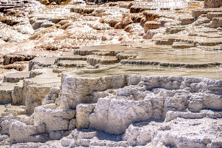 Travertine Terraces, Mammoth Hot Springs, Yellowstone #16 Photograph by Alex Grichenko