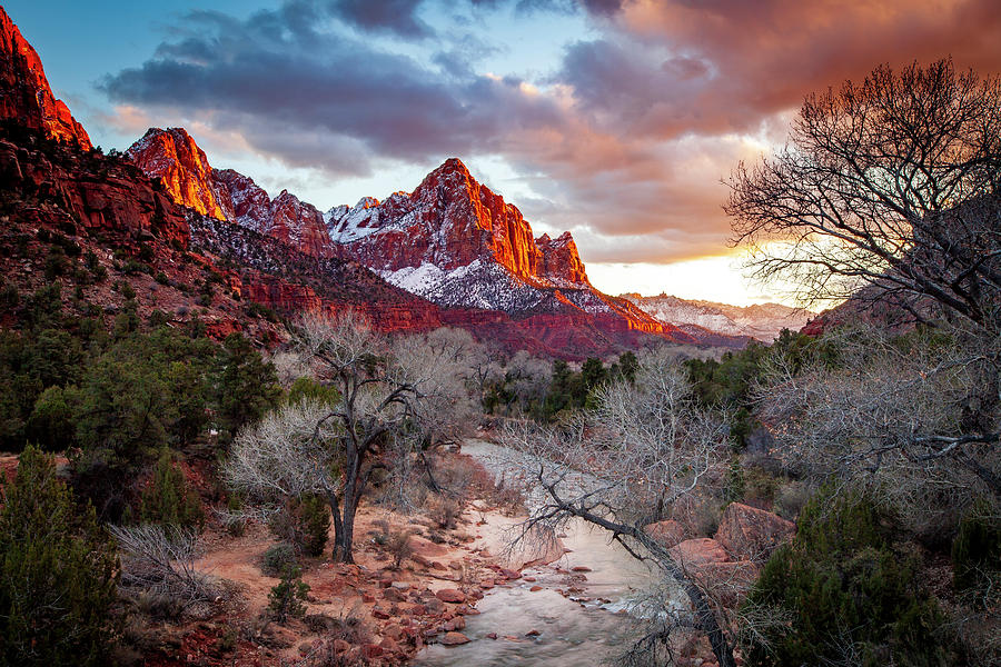 1620 The Watchman Zion National Park Photograph by Steve Sturgill
