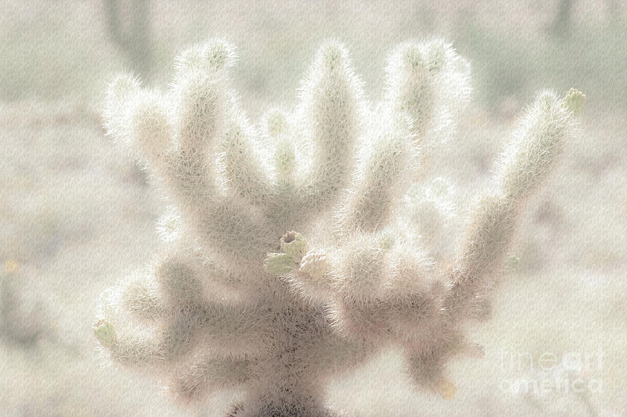 1633 Watercolor Cactus Blossom Photograph by Kenneth Johnson