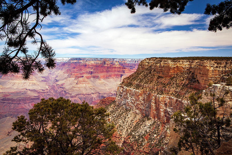 1673 Grand Canyon National Park Photograph by Steve Sturgill