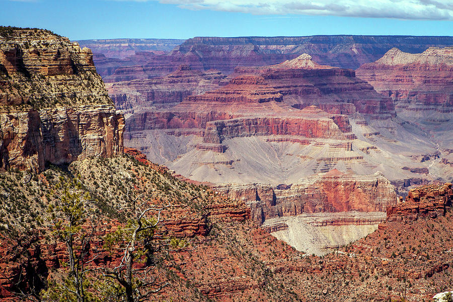 1675 Grand Canyon National Park Photograph