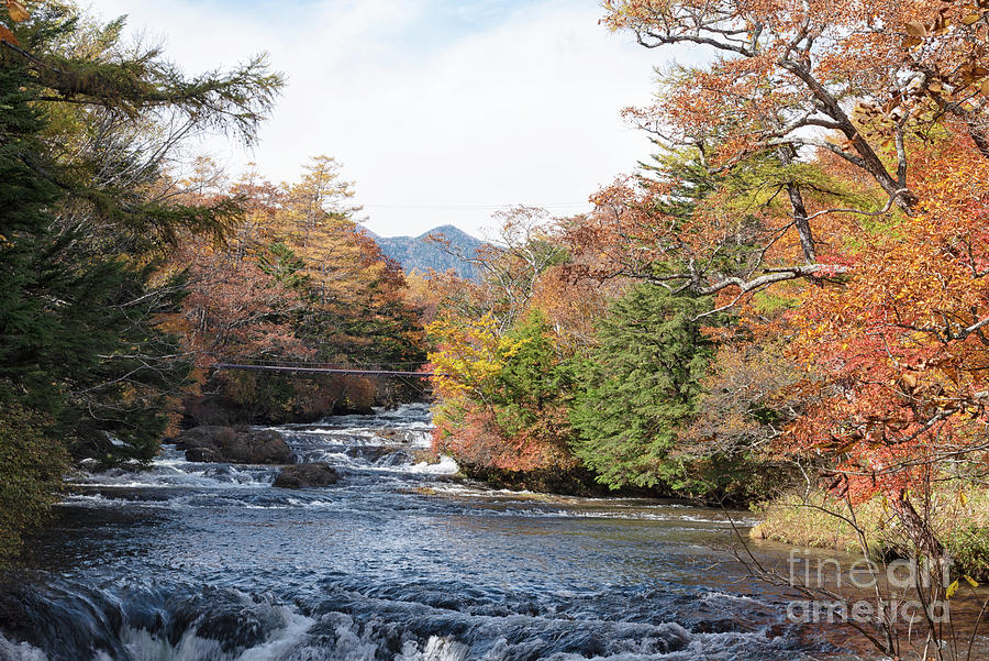 Fall colors of Nikko Japan #168 Photograph by Kiran Joshi