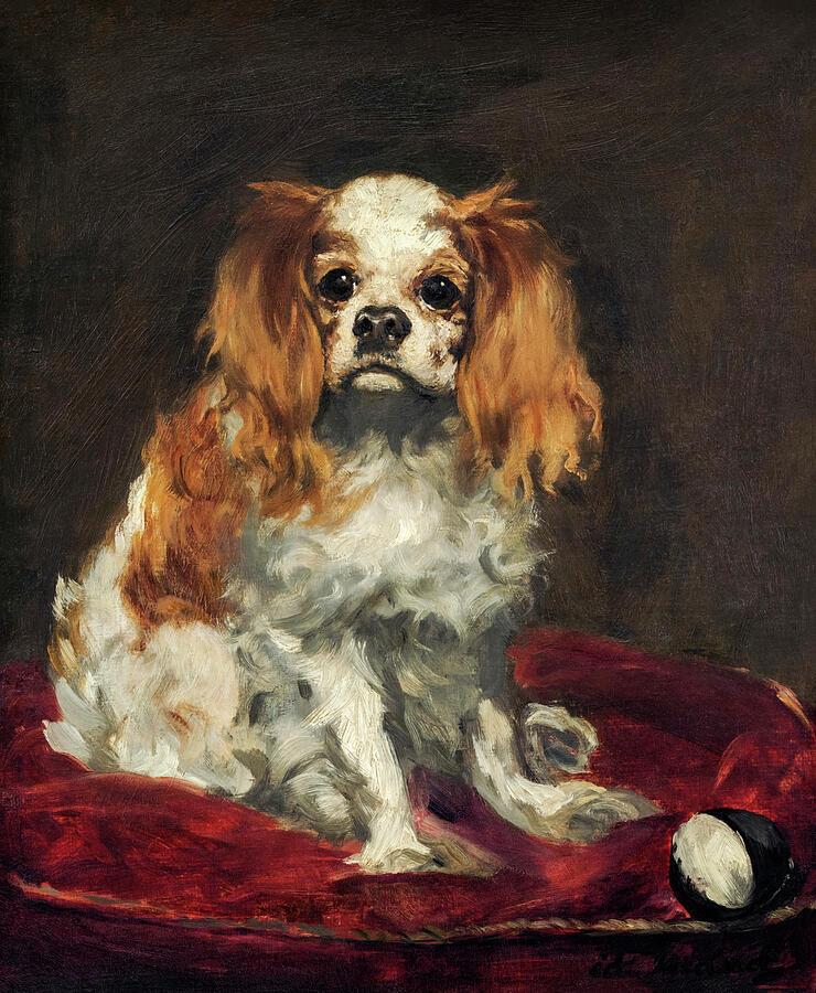 Edouard Manet Painting - A King Charles Spaniel by Edouard Manet by Mango Art