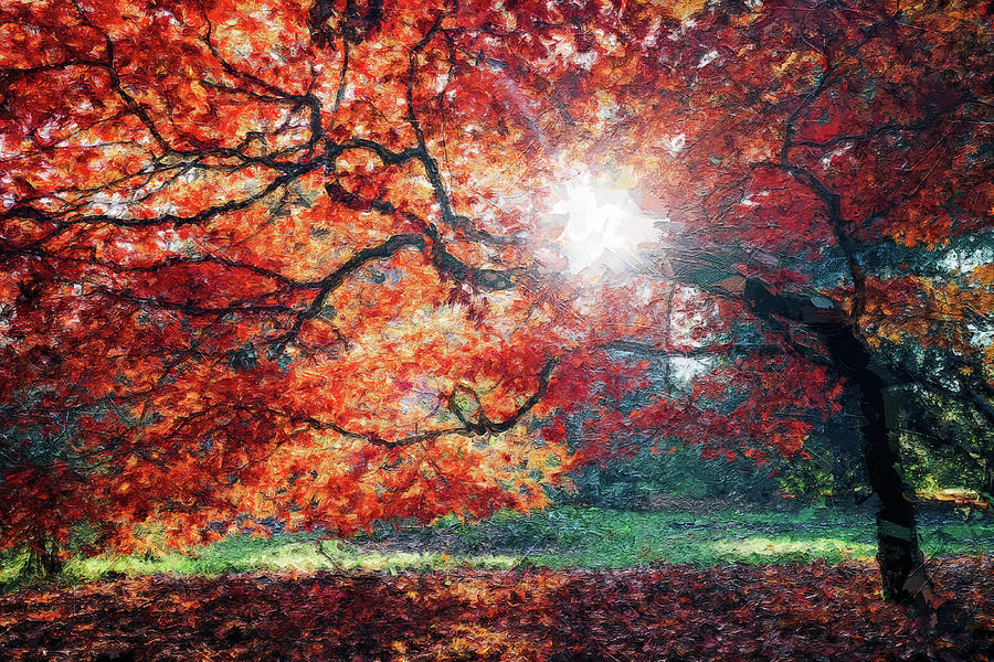 Autumn is Here #17 Digital Art by TintoDesigns