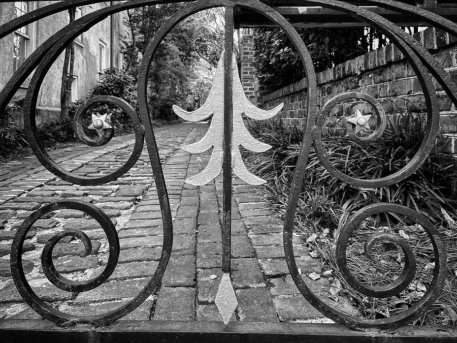 Charleston Wrought Iron Garden Gate in Detail, South Carolina #17 Photograph by Dawna Moore Photography