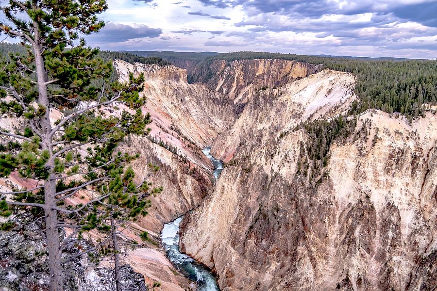 Lower falls of the yellowstone national park from artist point a #17 Photograph by Alex Grichenko