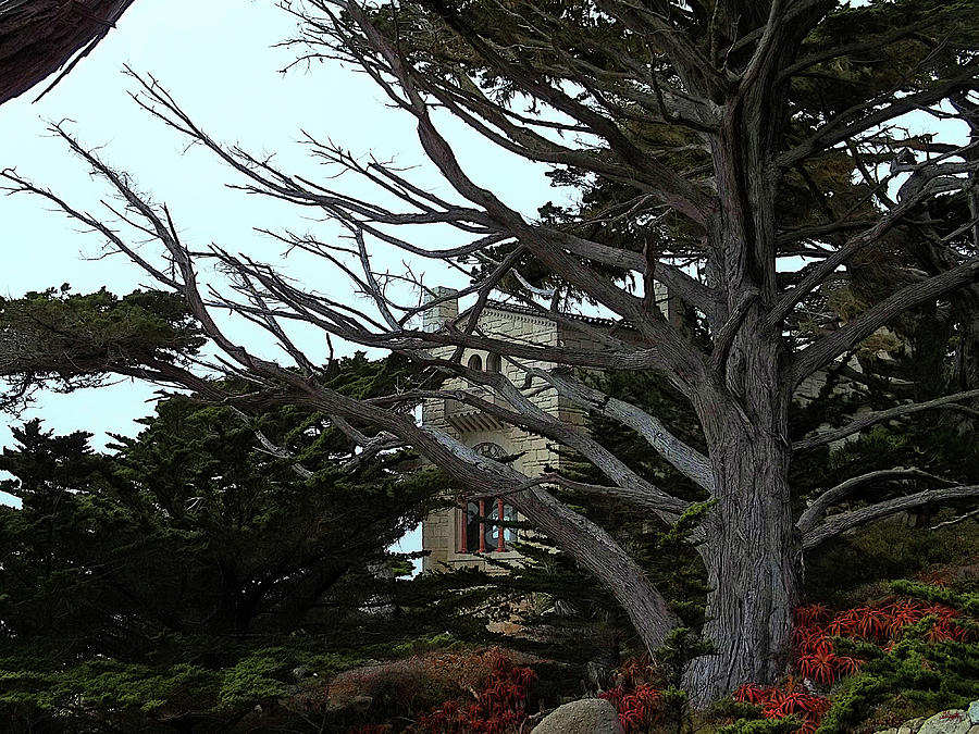 17 Mile Drive - Monterey Peninsula Photograph