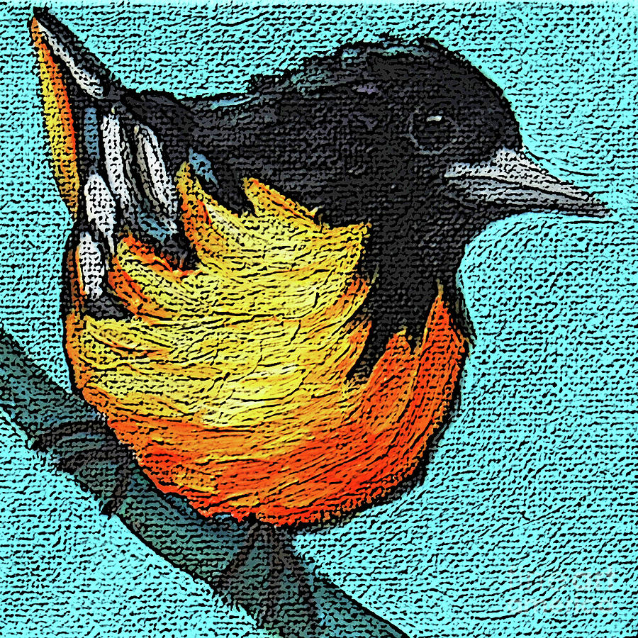 17 Oriole Painting by Victoria Page