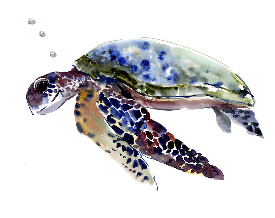 Sea Turtle Painting by Suren Nersisyan - Fine Art America