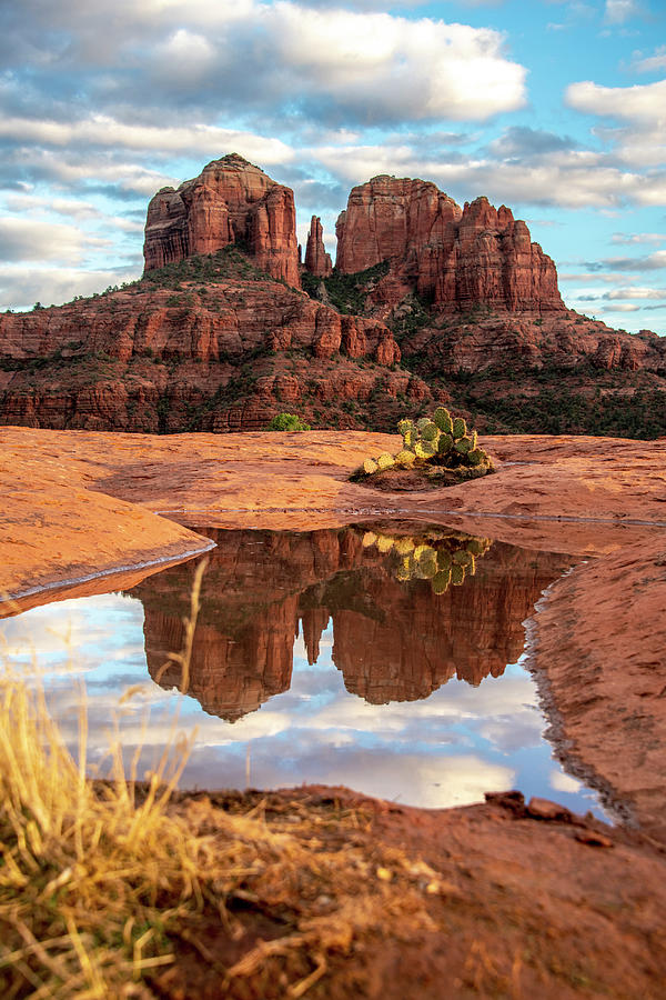 Sedona Photograph by Patricia Fiedler - Fine Art America