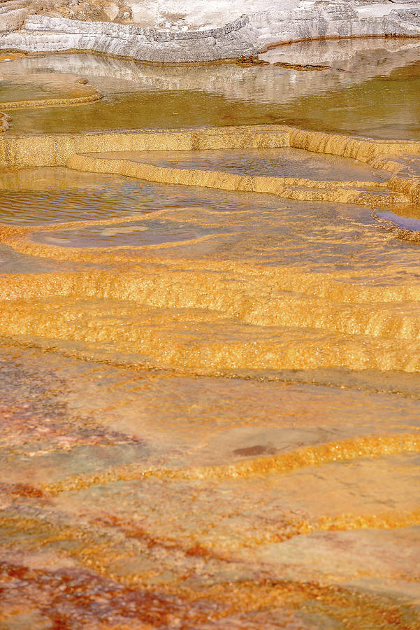 Travertine Terraces, Mammoth Hot Springs, Yellowstone #17 Photograph by Alex Grichenko