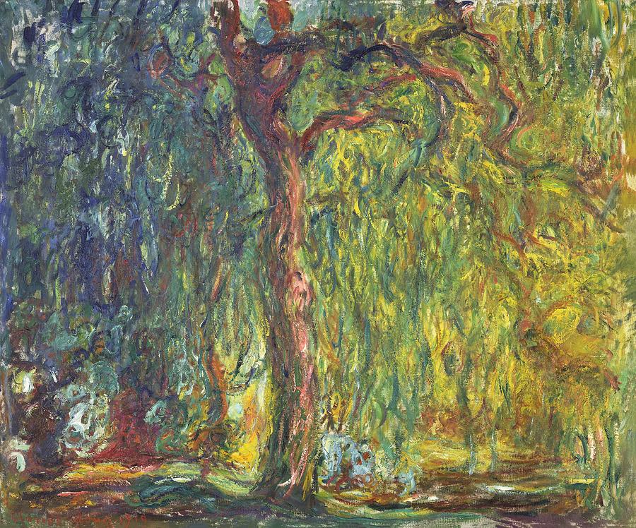 Tree Painting - Weeping Willow #17 by Claude Monet