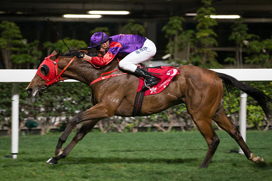 Horse Racing in Hong Kong - Happy Valley Racecourse #170 Photograph by Lo Chun Kit
