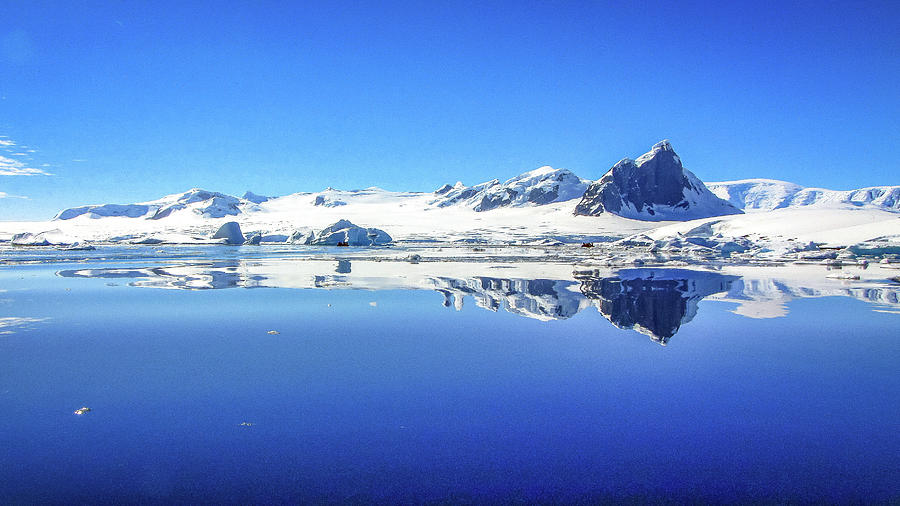 Antarctica #171 Photograph by Paul James Bannerman