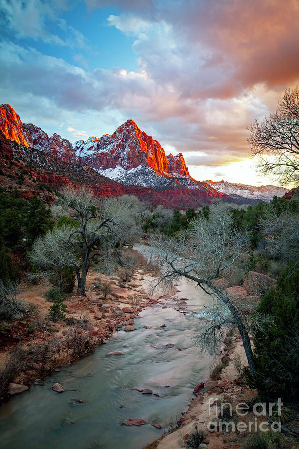 1758 The Watchman Zion National Park Photograph by Steve Sturgill