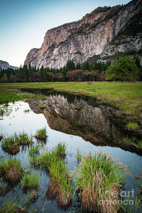 1762 Scotts Meadow Yosemite National Park Photograph by Steve Sturgill