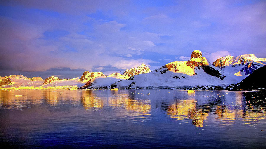 Antarctica #178 Photograph by Paul James Bannerman