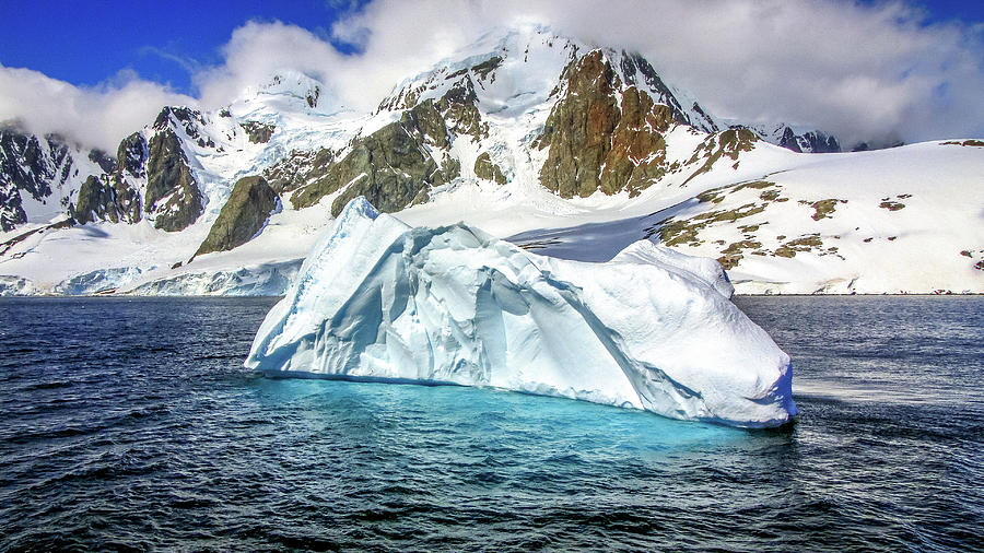 Antarctica #179 Photograph by Paul James Bannerman