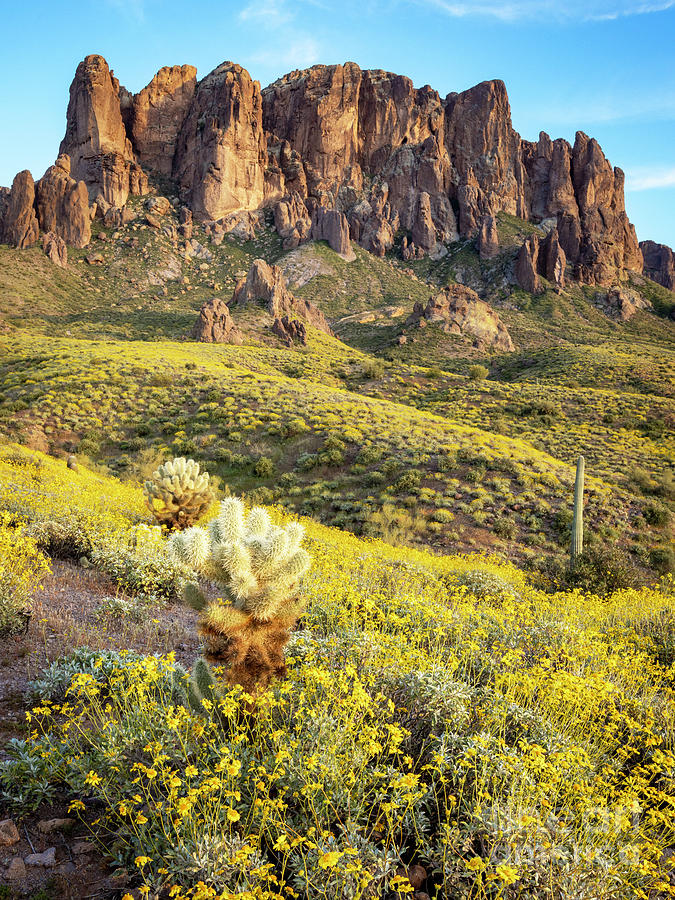 1791 Superstition Mountains in Bloom Photograph by Steve Sturgill