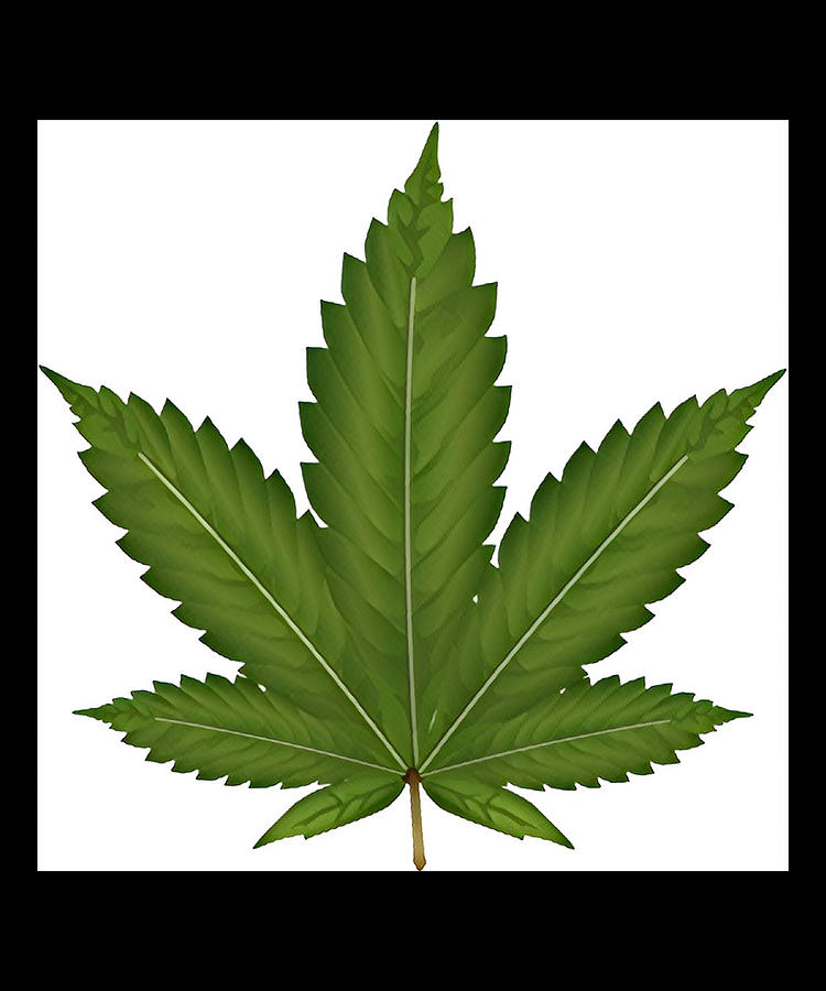 Abstract Cannabis Weed Leaf Art Design Digital Art by CalNyto - Fine ...