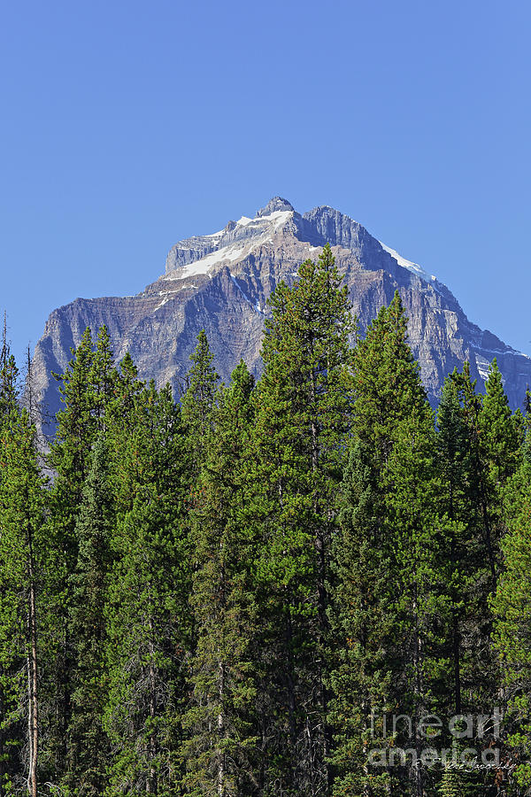 Banff and Jasper National Park #18 Photograph by Steve Javorsky