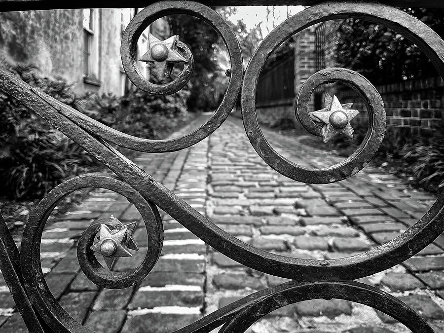 Charleston Wrought Iron Garden Gate in Detail, South Carolina #18 Photograph by Dawna Moore Photography
