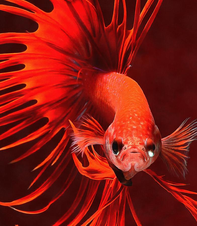 Exotic fish Digital Art by Sienna Luffman