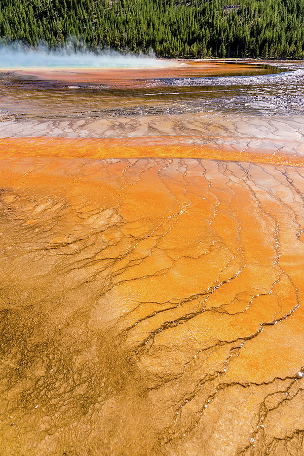 Grand Prismatic Spring in Yellowstone National Park #18 Photograph by Alex Grichenko