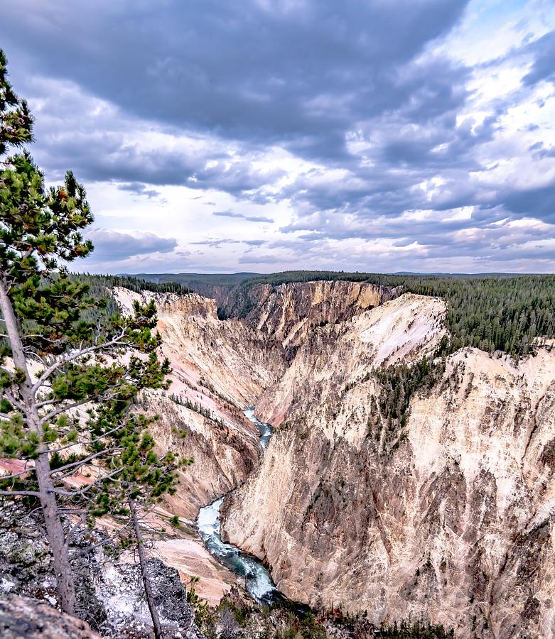 Lower falls of the yellowstone national park from artist point a #18 Photograph by Alex Grichenko