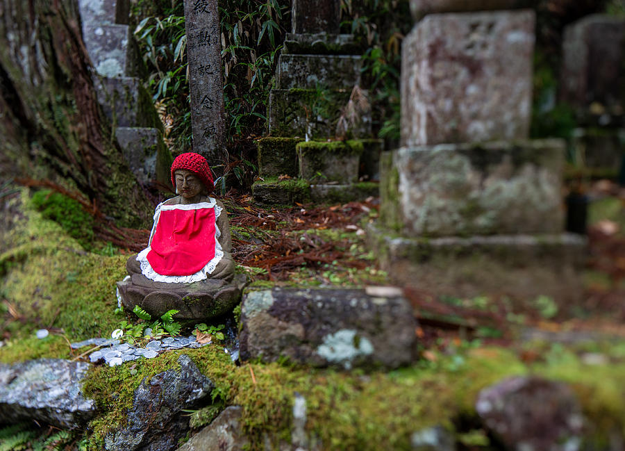 Okunoin Cemetery in Koyasan #18 Photograph by Christian Beirle González