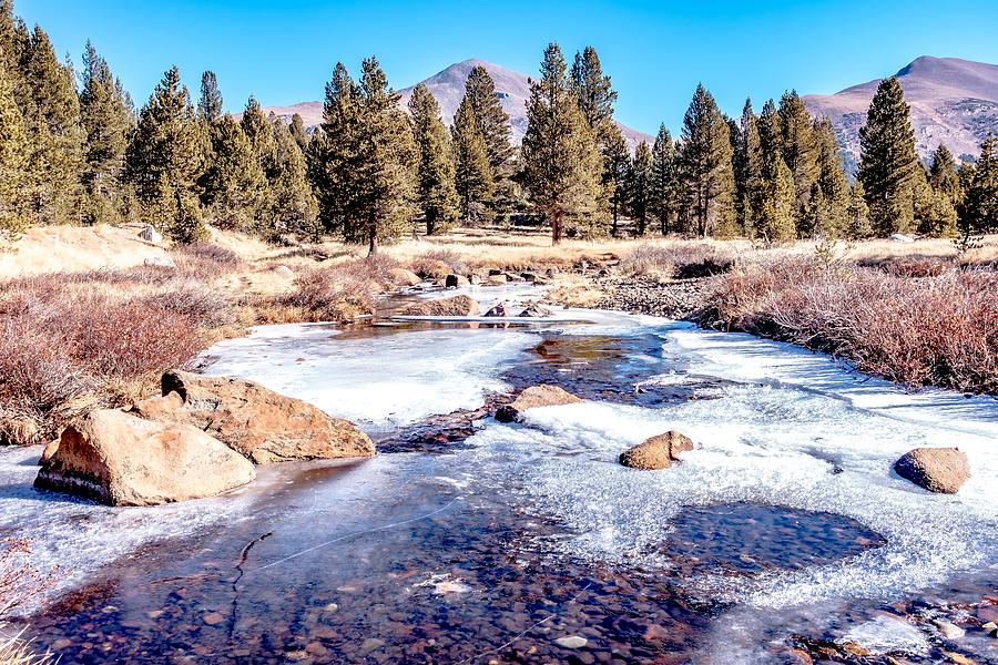 Scenery Near And Around Tioga Pass In Sierra Mountains Photograph