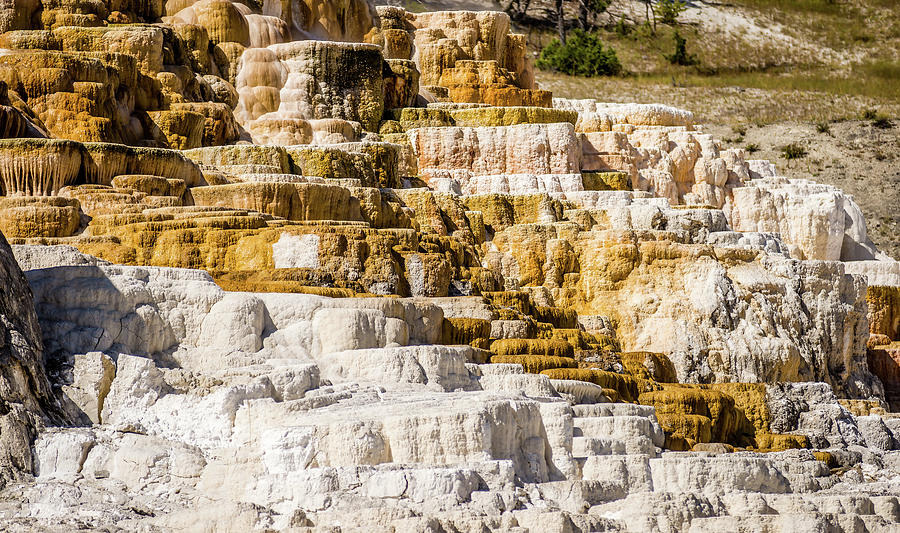 Travertine Terraces, Mammoth Hot Springs, Yellowstone #18 Photograph by Alex Grichenko