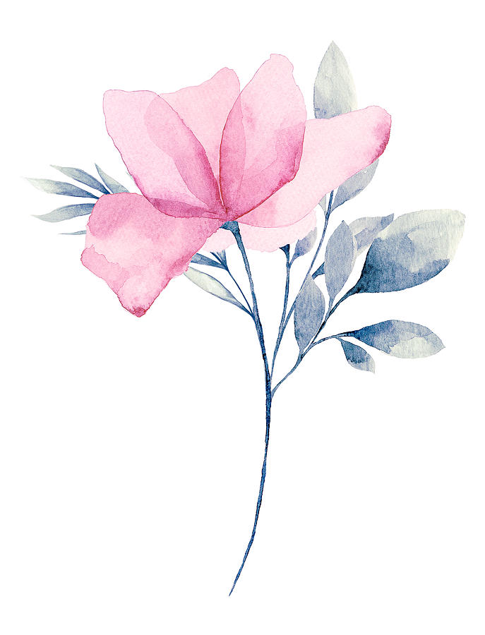 Watercolor Flower White background Drawing by Rustemgurler