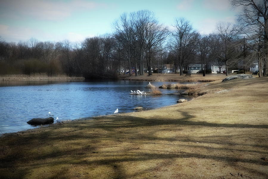 Wooster Pond Stratford Ct Photograph By Thomas Henthorn Pixels