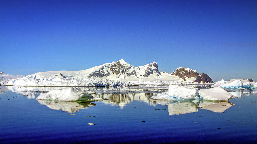 Antarctica #182 Photograph by Paul James Bannerman