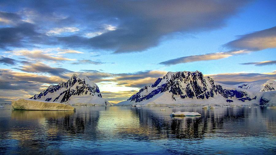 Antarctica #183 Photograph by Paul James Bannerman